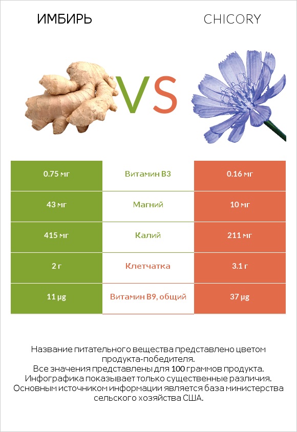 Имбирь vs Chicory infographic