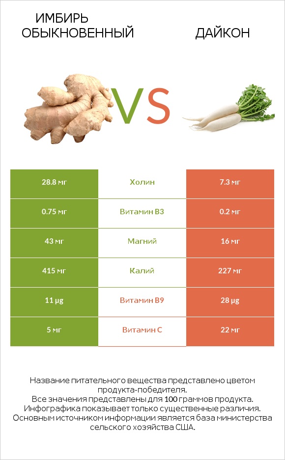 Имбирь vs Дайкон infographic