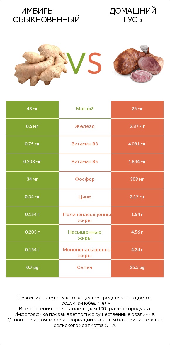 Имбирь обыкновенный vs Домашний гусь infographic