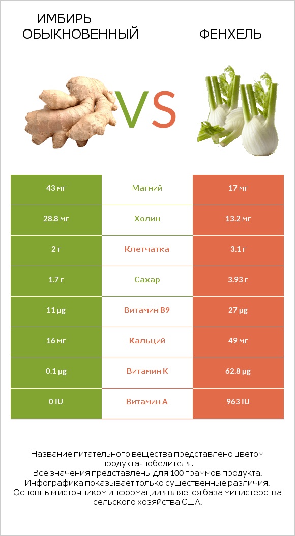 Имбирь vs Фенхель infographic