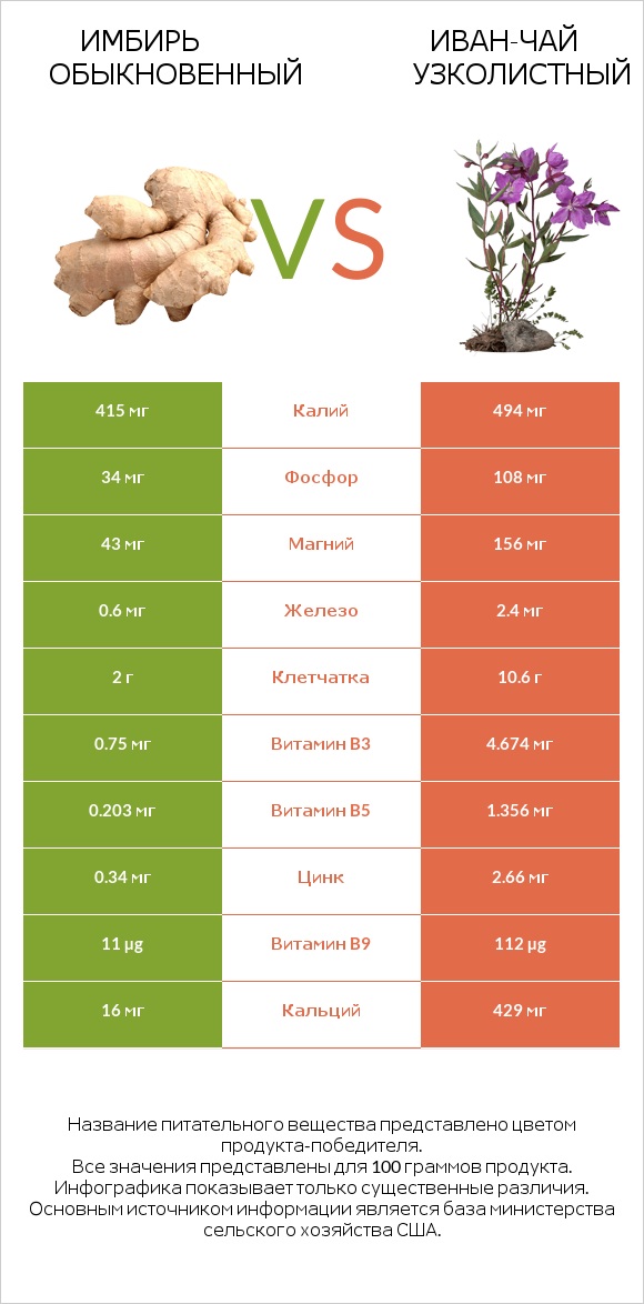 Имбирь обыкновенный vs Иван-чай узколистный infographic