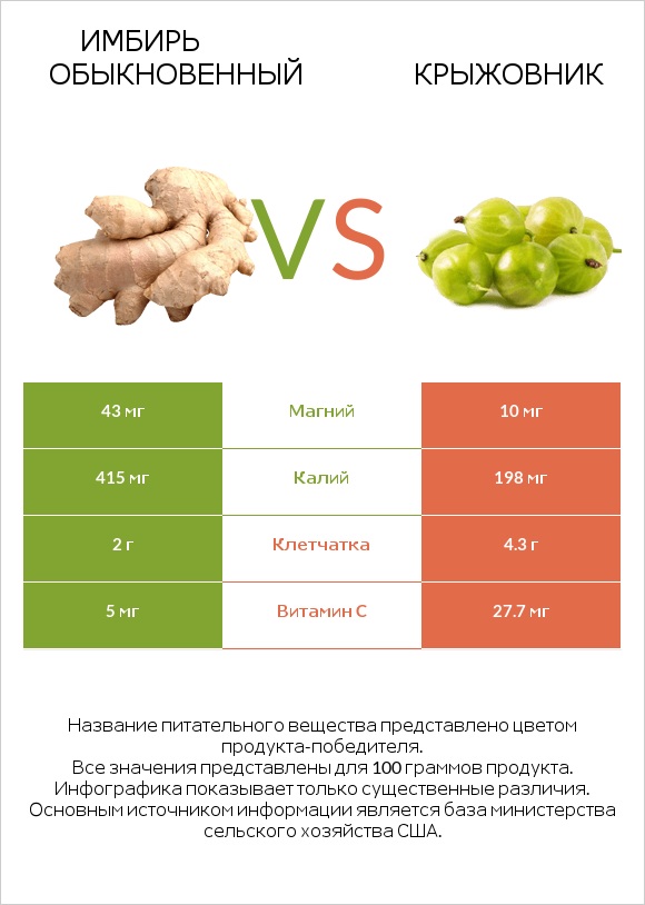 Имбирь обыкновенный vs Крыжовник infographic