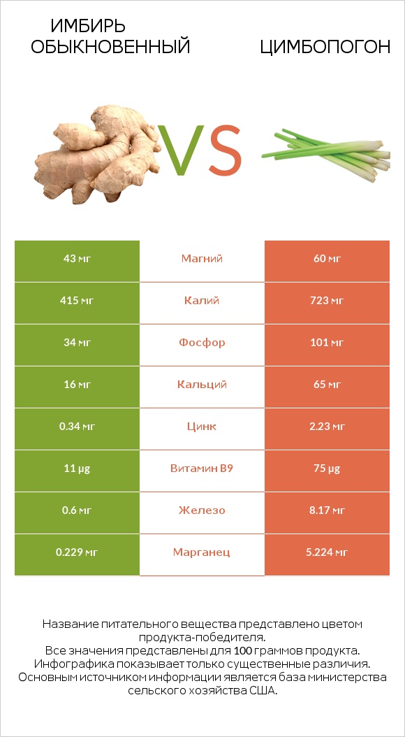 Имбирь обыкновенный vs Цимбопогон infographic