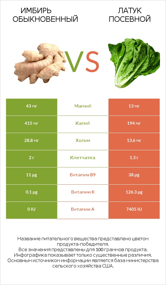 Имбирь обыкновенный vs Латук посевной infographic