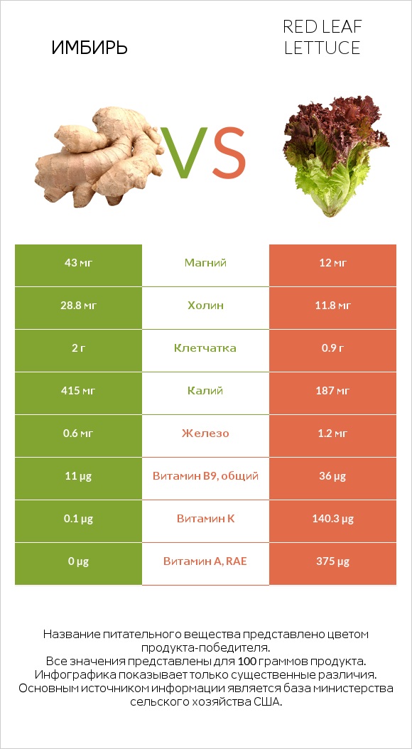 Имбирь vs Red leaf lettuce infographic