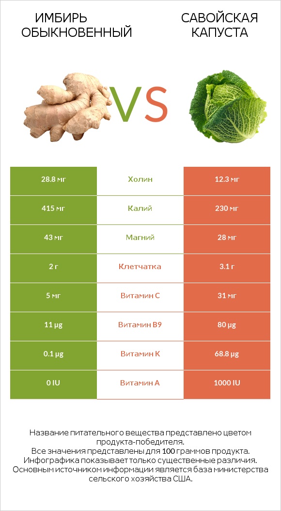 Имбирь обыкновенный vs Савойская капуста infographic