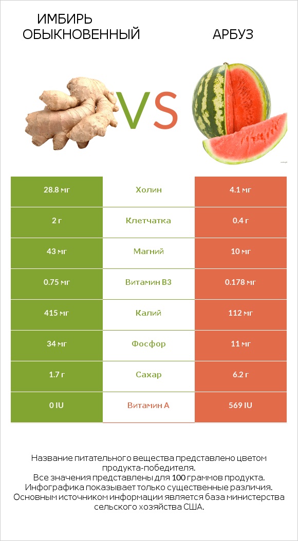Имбирь обыкновенный vs Арбуз infographic