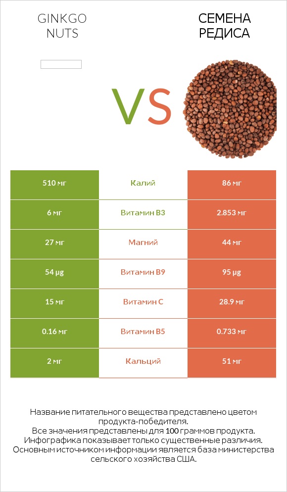 Ginkgo nuts vs Семена редиса infographic