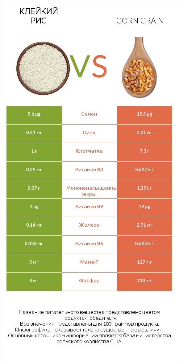 Клейкий рис vs Corn grain infographic