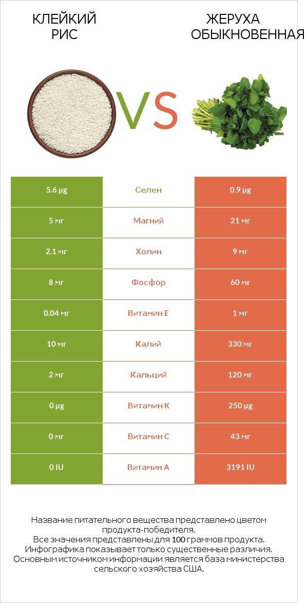 Клейкий рис vs Жеруха обыкновенная infographic