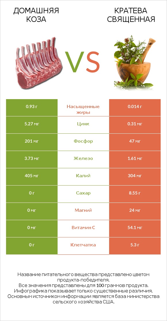 Домашняя коза vs Кратева священная infographic