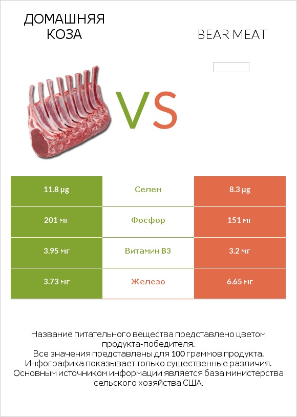 Домашняя коза vs Bear meat infographic