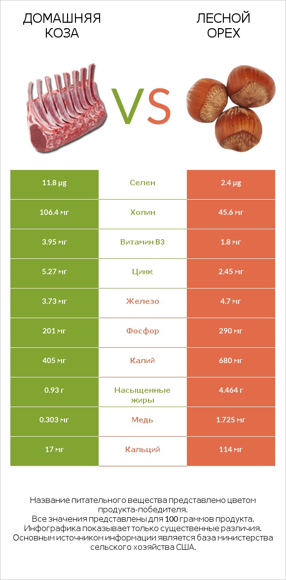 Домашняя коза vs Лесной орех infographic