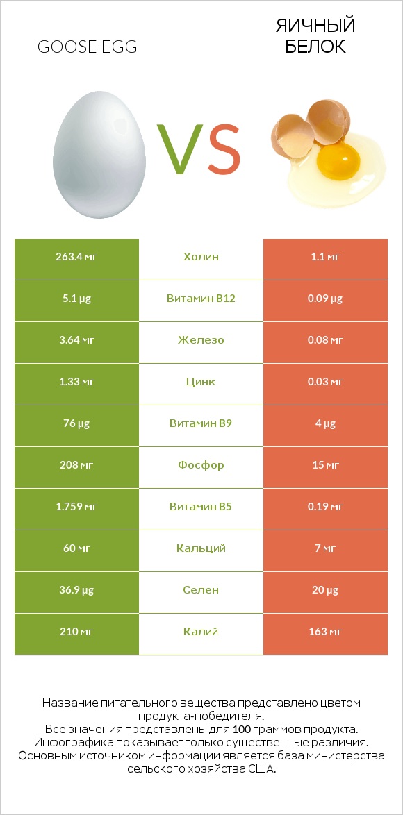 Goose egg vs Яичный белок infographic