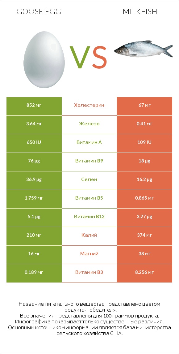 Goose egg vs Milkfish infographic