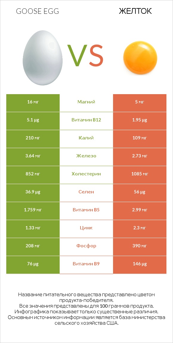 Goose egg vs Желток infographic