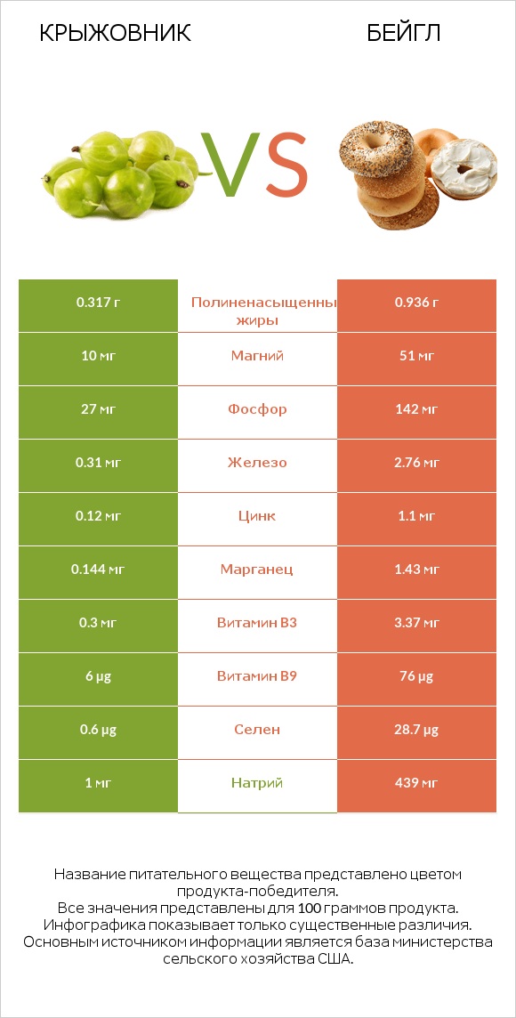 Крыжовник vs Бейгл infographic