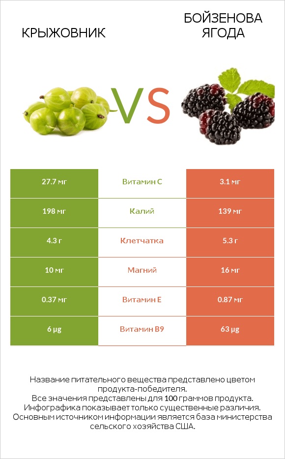 Крыжовник vs Бойзенова ягода infographic