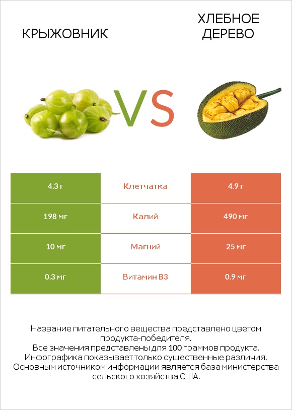 Крыжовник vs Хлебное дерево infographic