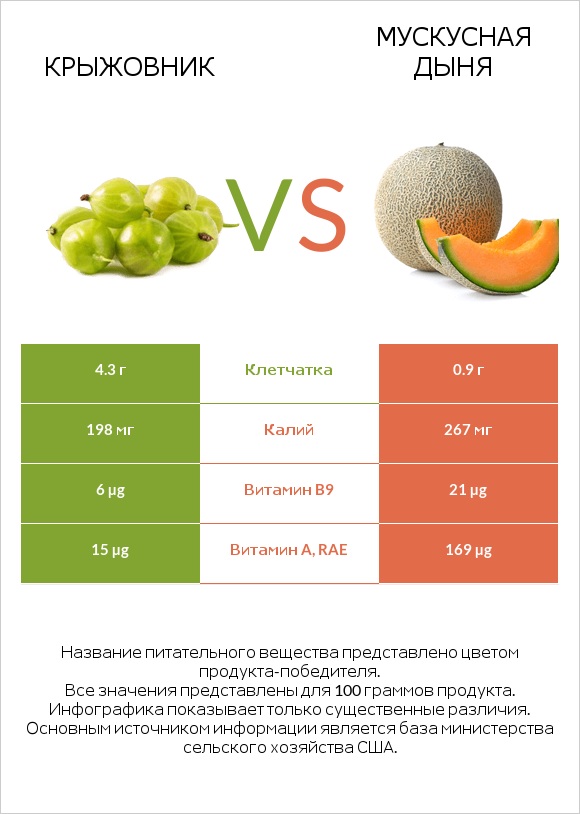 Крыжовник vs Мускусная дыня infographic