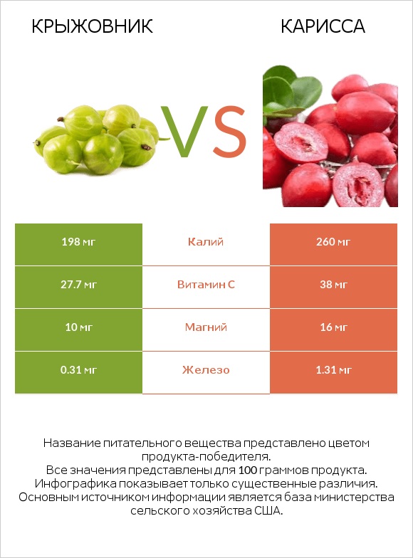 Крыжовник vs Карисса infographic