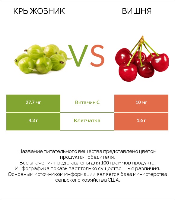 Крыжовник vs Вишня infographic