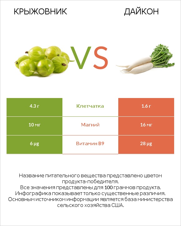 Крыжовник vs Дайкон infographic