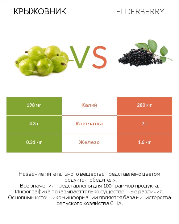 Крыжовник vs Elderberry infographic