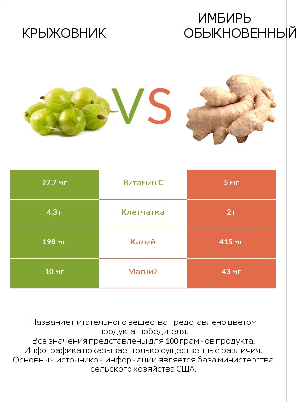 Крыжовник vs Имбирь обыкновенный infographic