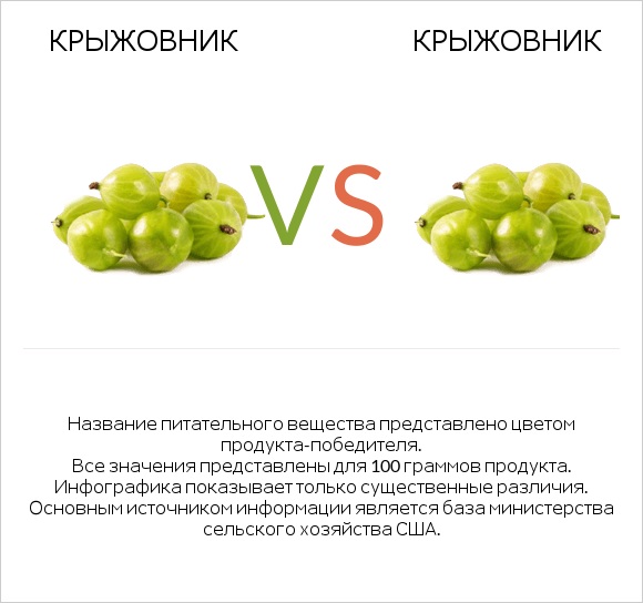 Крыжовник vs Крыжовник infographic