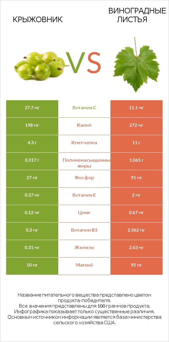 Крыжовник vs Виноградные листья infographic