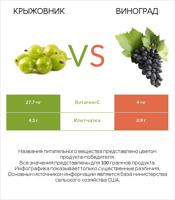 Крыжовник vs Виноград infographic