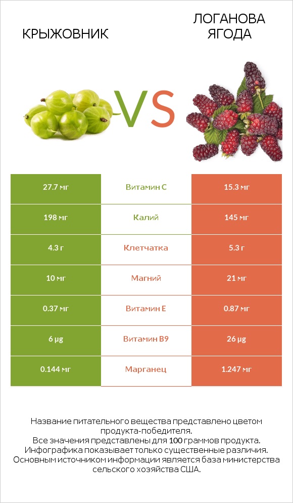 Крыжовник vs Логанова ягода infographic