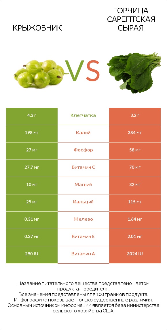 Крыжовник vs Горчица сарептская сырая infographic