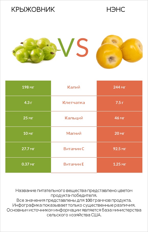 Крыжовник vs Нэнс infographic