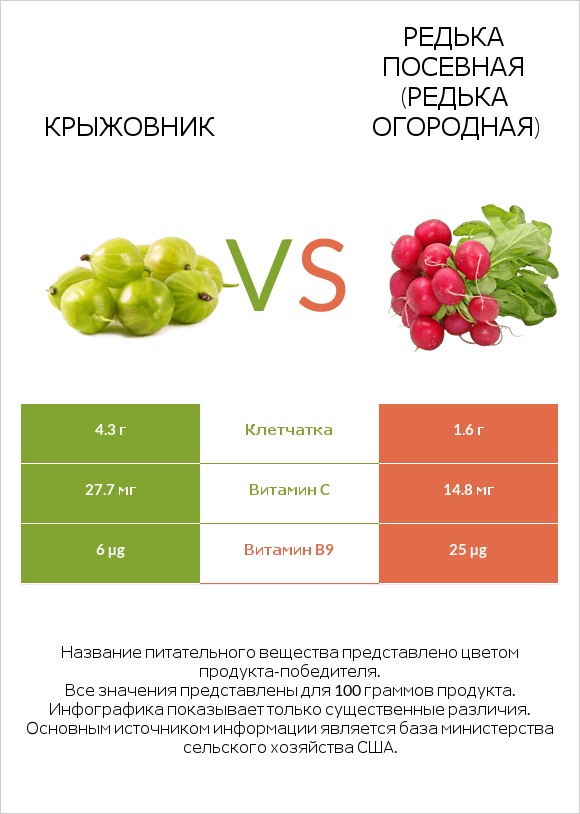 Крыжовник vs Редька посевная (Редька огородная) infographic