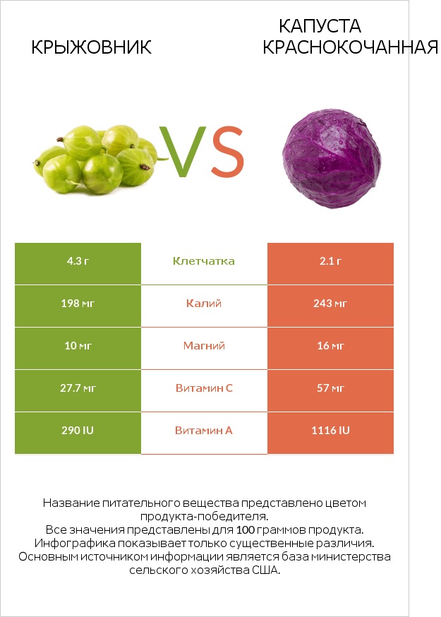 Крыжовник vs Капуста краснокочанная infographic
