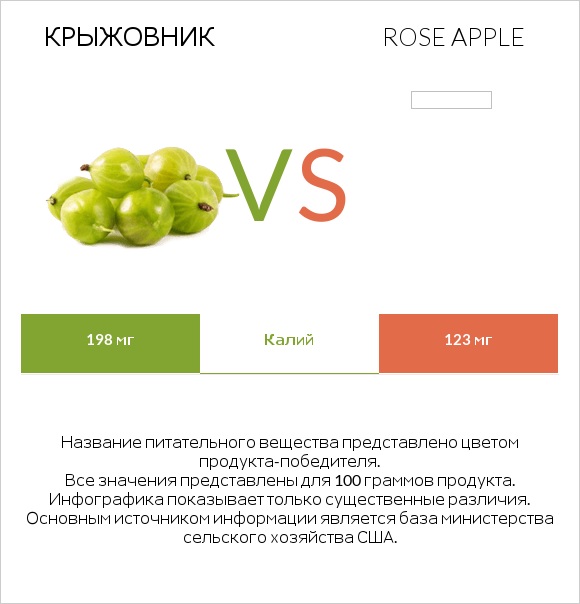 Крыжовник vs Rose apple infographic