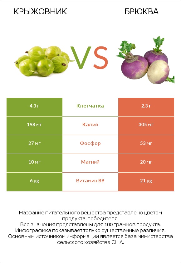 Крыжовник vs Брюква infographic