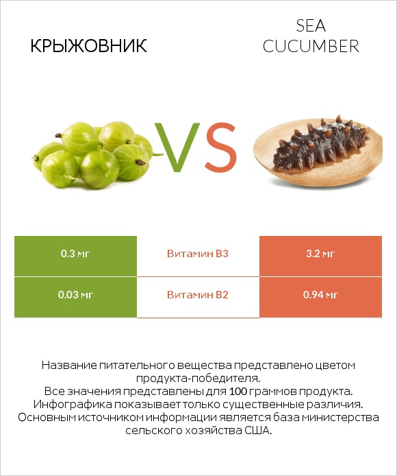 Крыжовник vs Sea cucumber infographic