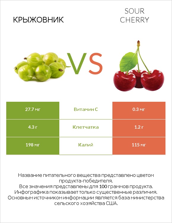 Крыжовник vs Sour cherry infographic