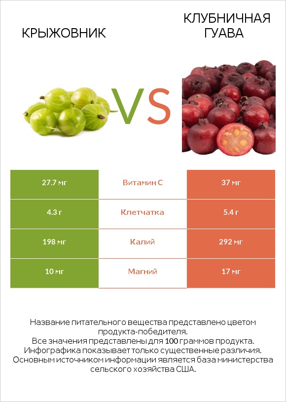 Крыжовник vs Клубничная гуава infographic