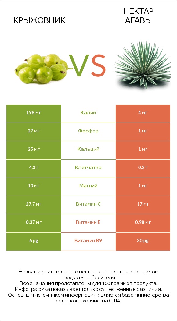 Крыжовник vs Нектар агавы infographic
