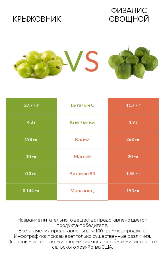 Крыжовник vs Физалис овощной infographic