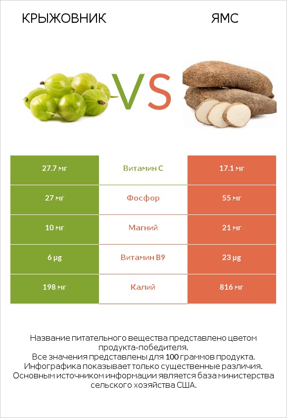 Крыжовник vs Ямс infographic