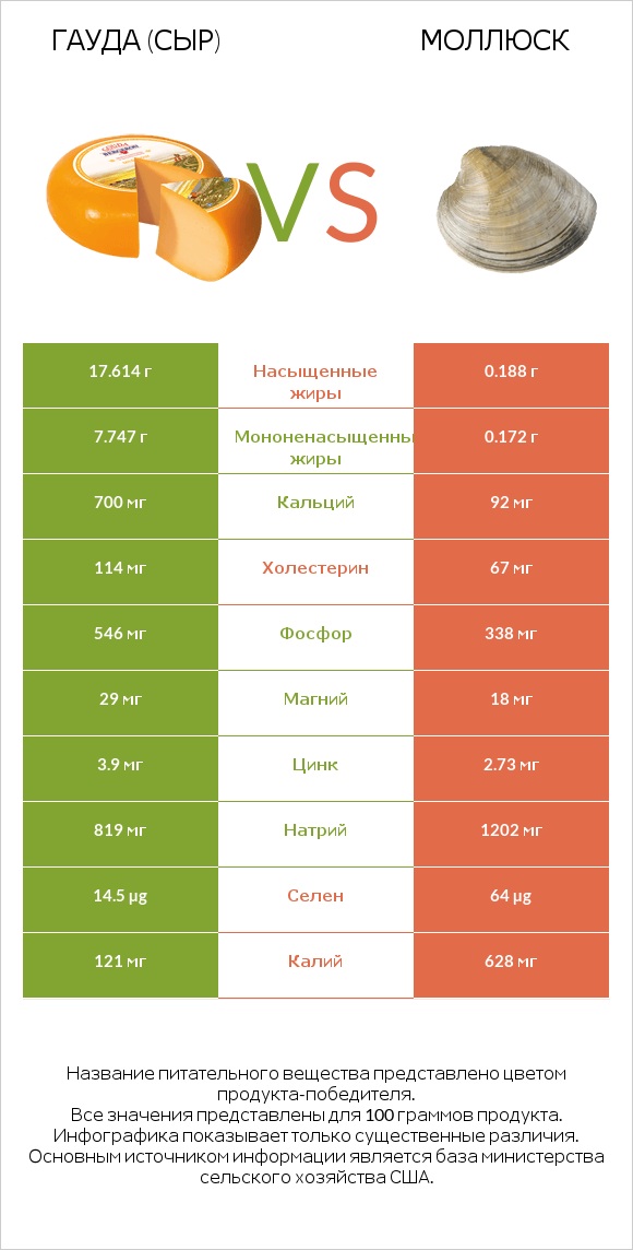 Гауда (сыр) vs Моллюск infographic