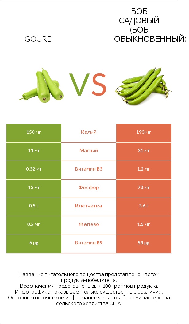 Gourd vs Боб садовый (Боб обыкновенный) infographic