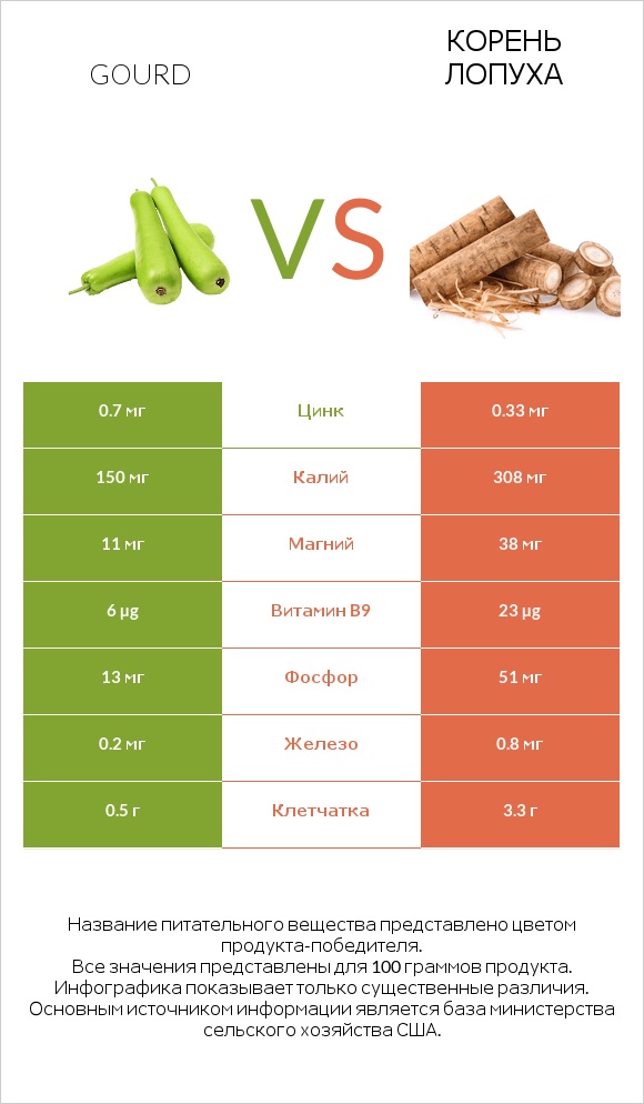 Gourd vs Корень лопуха infographic