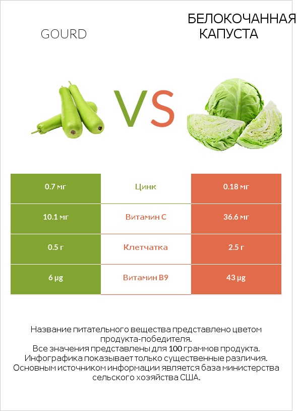 Gourd vs Белокочанная капуста infographic