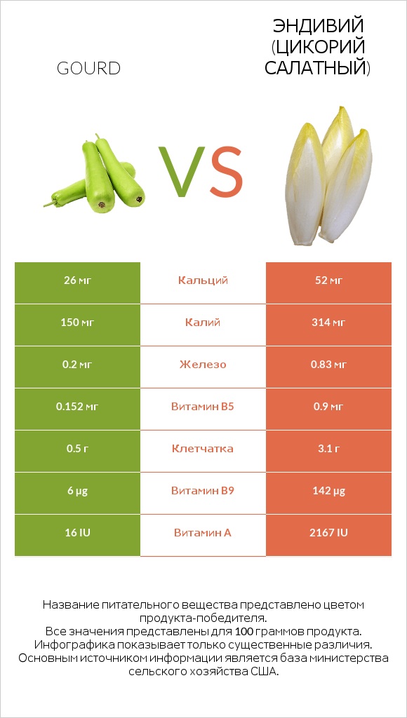 Gourd vs Эндивий (Цикорий салатный) infographic
